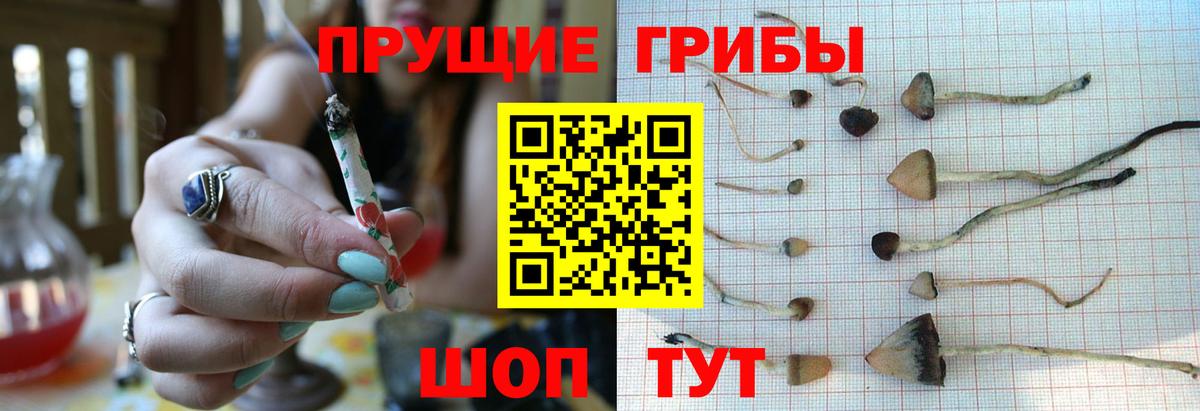 Псилоцибиновые грибы Psilocybe  Галлюциногенные грибы Magic Shrooms  Альметьевск  Вход с VPN 